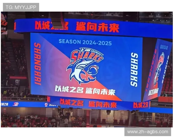 深圳CBA球队名称由来及球队历史发展介绍