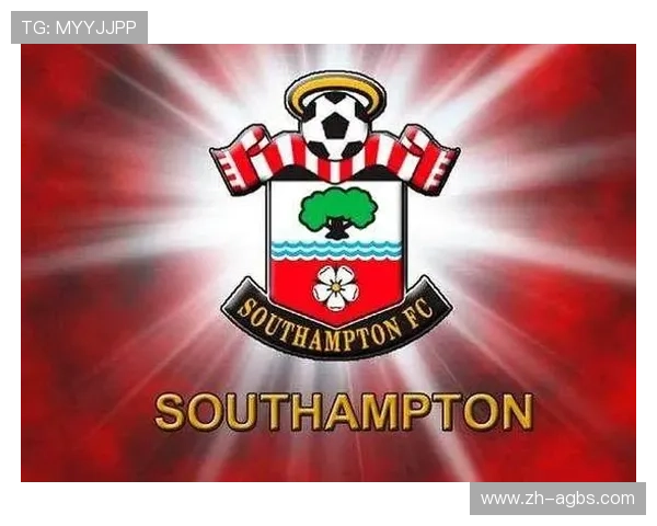 英超各俱乐部附属球队体系及青训架构 英超各俱乐部附属球队体系及青训架构